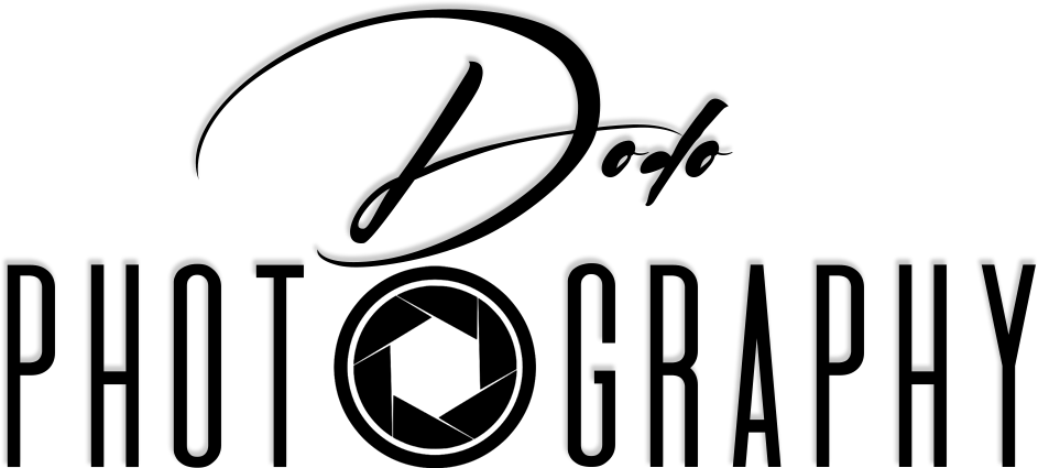 Logo Dodo Phogography